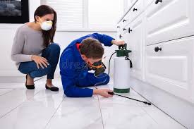 Reliable Loxahatchee Groves, FL Pest Control Solutions